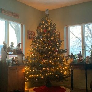 Meet your Posher, Nickie